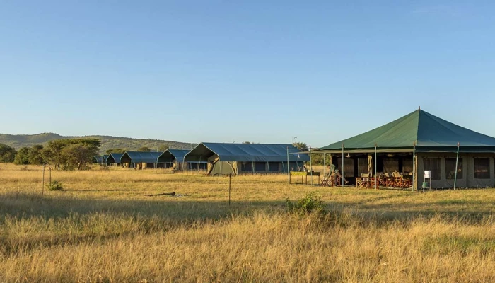 Serengeti View Camp