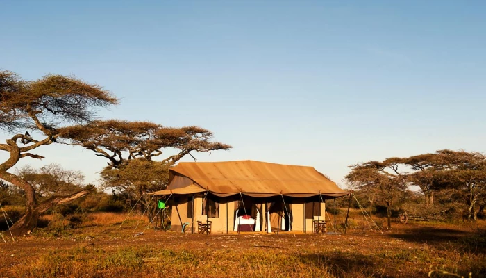 Ndutu Under Canvas Tented Camp