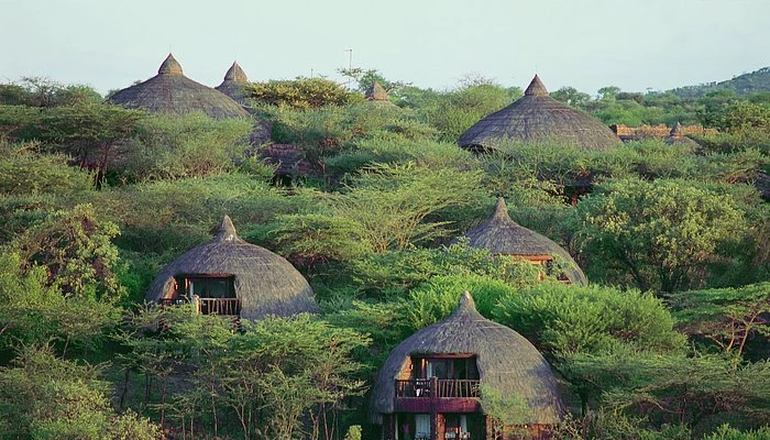 Serengeti Serena Safari Lodge