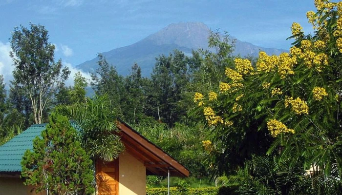 Meru View Lodge