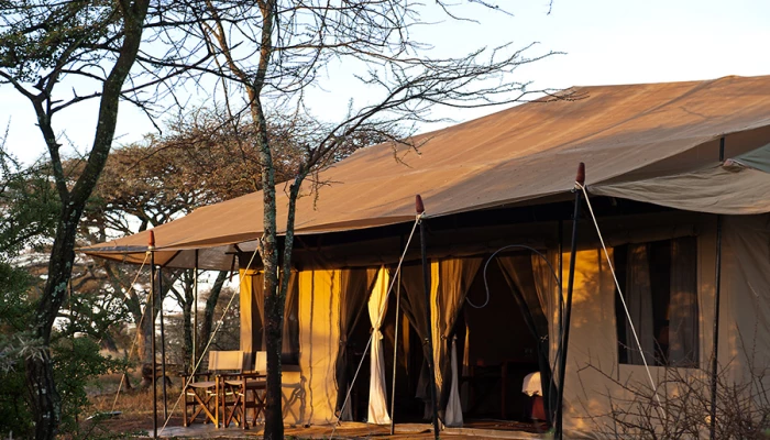 Mara Under Canvas Tented Camp