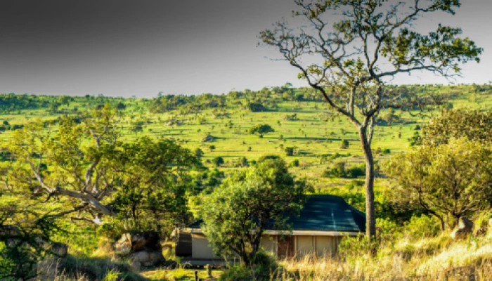 Kusini kopje kambi lodge