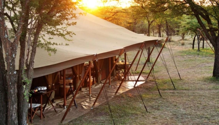 Serian's Serengeti North Camp