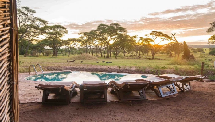 Sanctuary Swala Camp