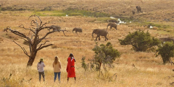 Encounter Mara Camp