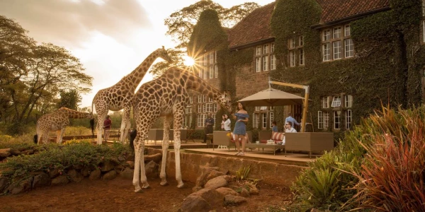 Giraffe Manor