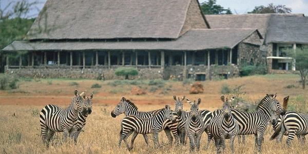 Kilaguni Serena Safari Lodge