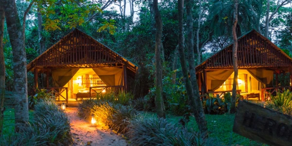 Kibale Forest Camp