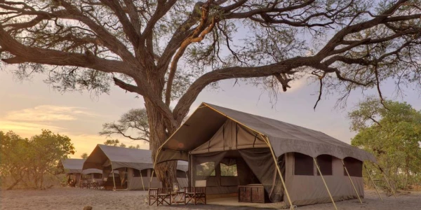 Chobe Under Canvas