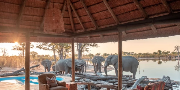 Hyena Pan Tented Camp